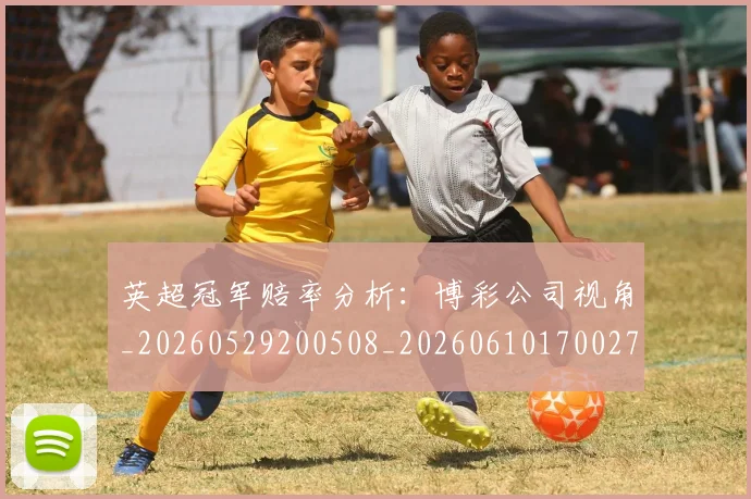 英超冠军赔率分析:博彩公司视角_20260529200508_20260610170027